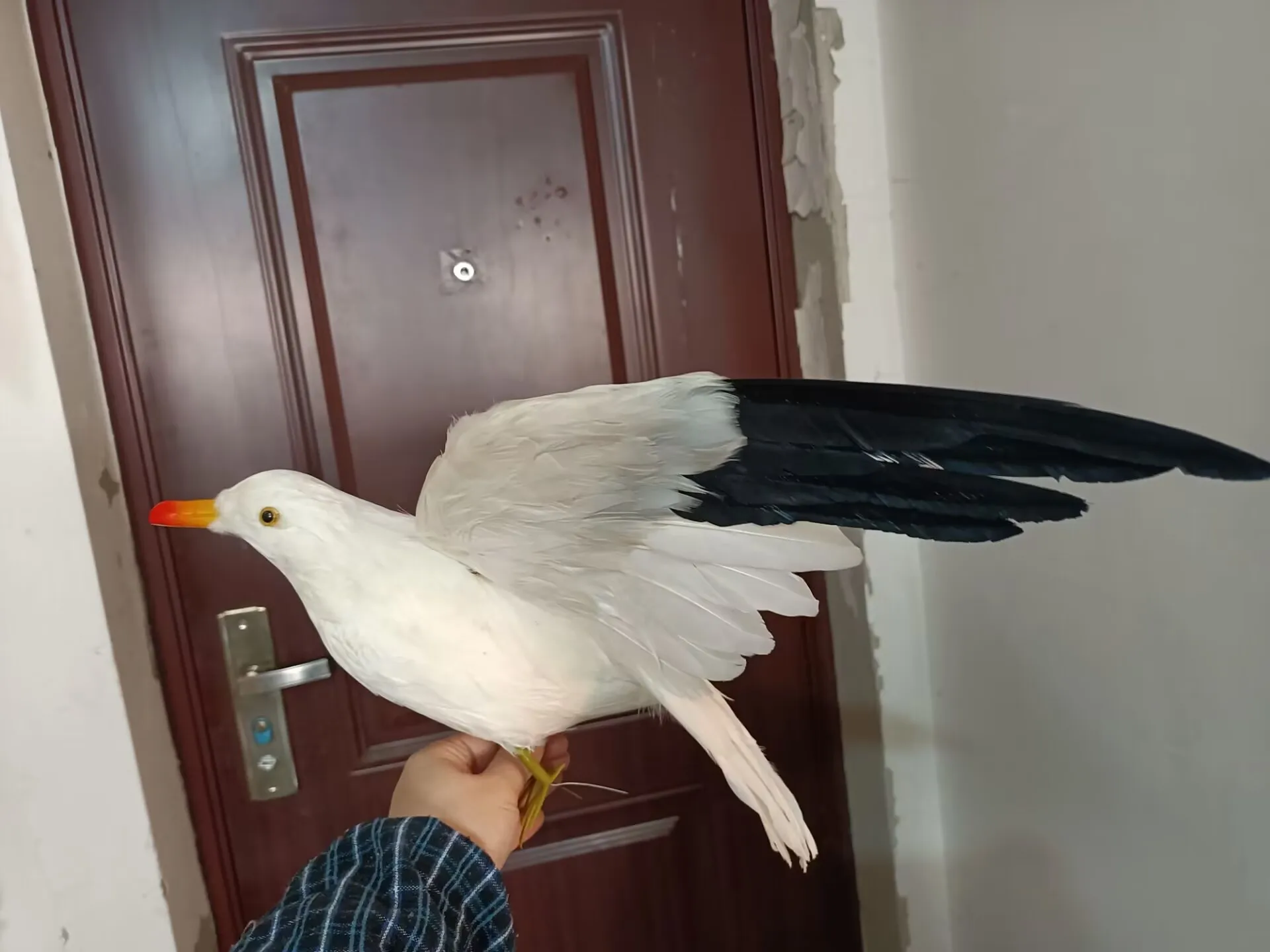 new simulation seagull model foam&furs wings bird decoration gift about 38x55cm xf2895