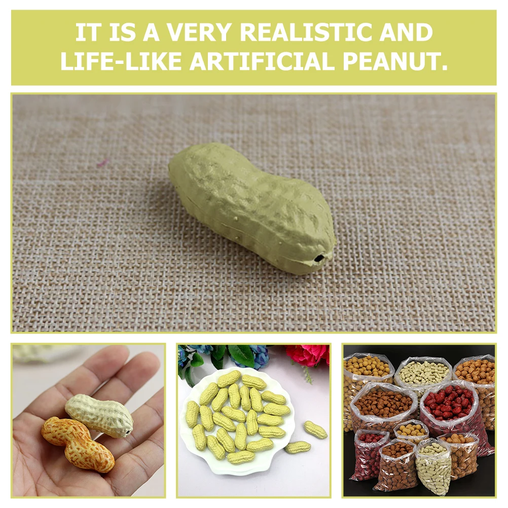 

10pcs Lifelike Fake Props For Photography Dried Fruit Models Educational Teaching Decorative Ornaments Resin Peanut