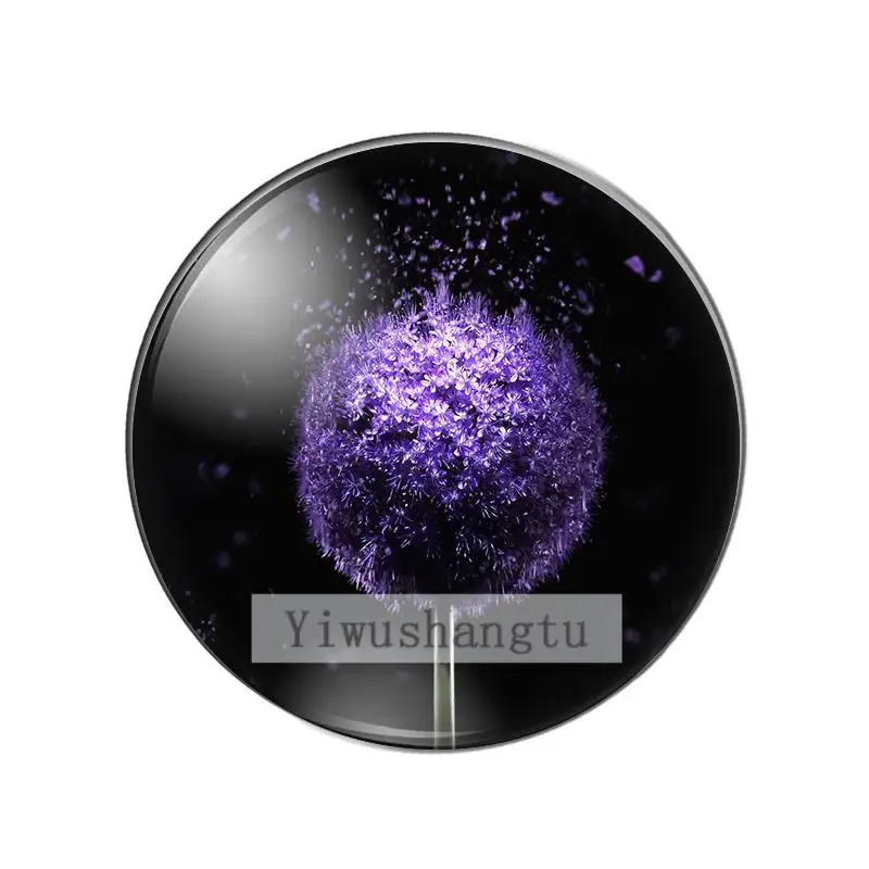 Fashion colourful dandelion 10mm/12mm/18mm/20mm/25mm Round photo glass cabochon demo flat back Making findings ZB0543