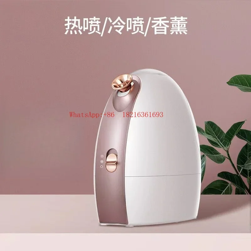 Limited Offer Hot And Cold Double Spray Face Steamer Home Facial Hydration Beauty Instrument Face Humidifier Face Steamer Machi