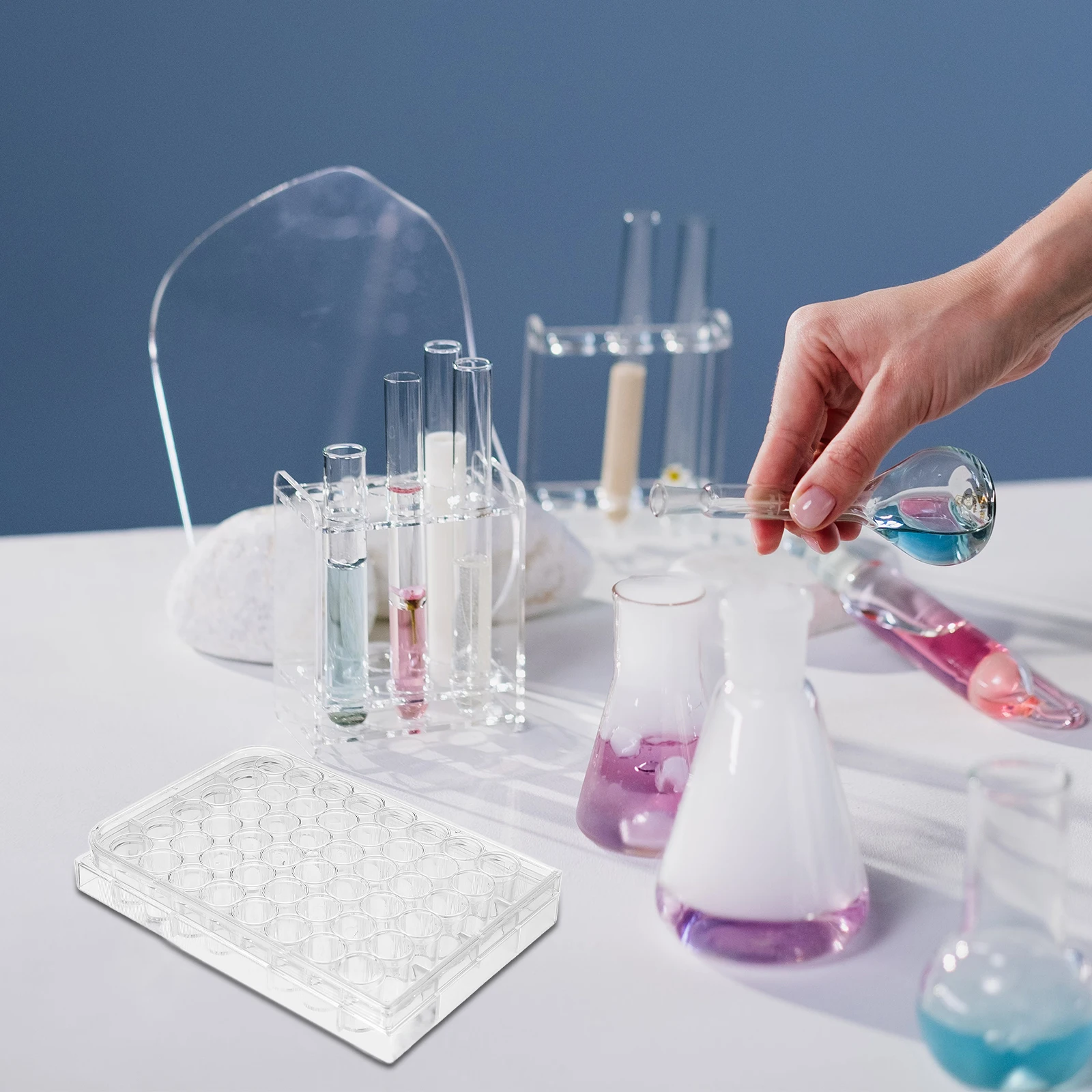 Culture Plate with Lid for Lab Cell Tray Tissue Laboratory Cover Study Petri Science Experiment Teaching Equipment