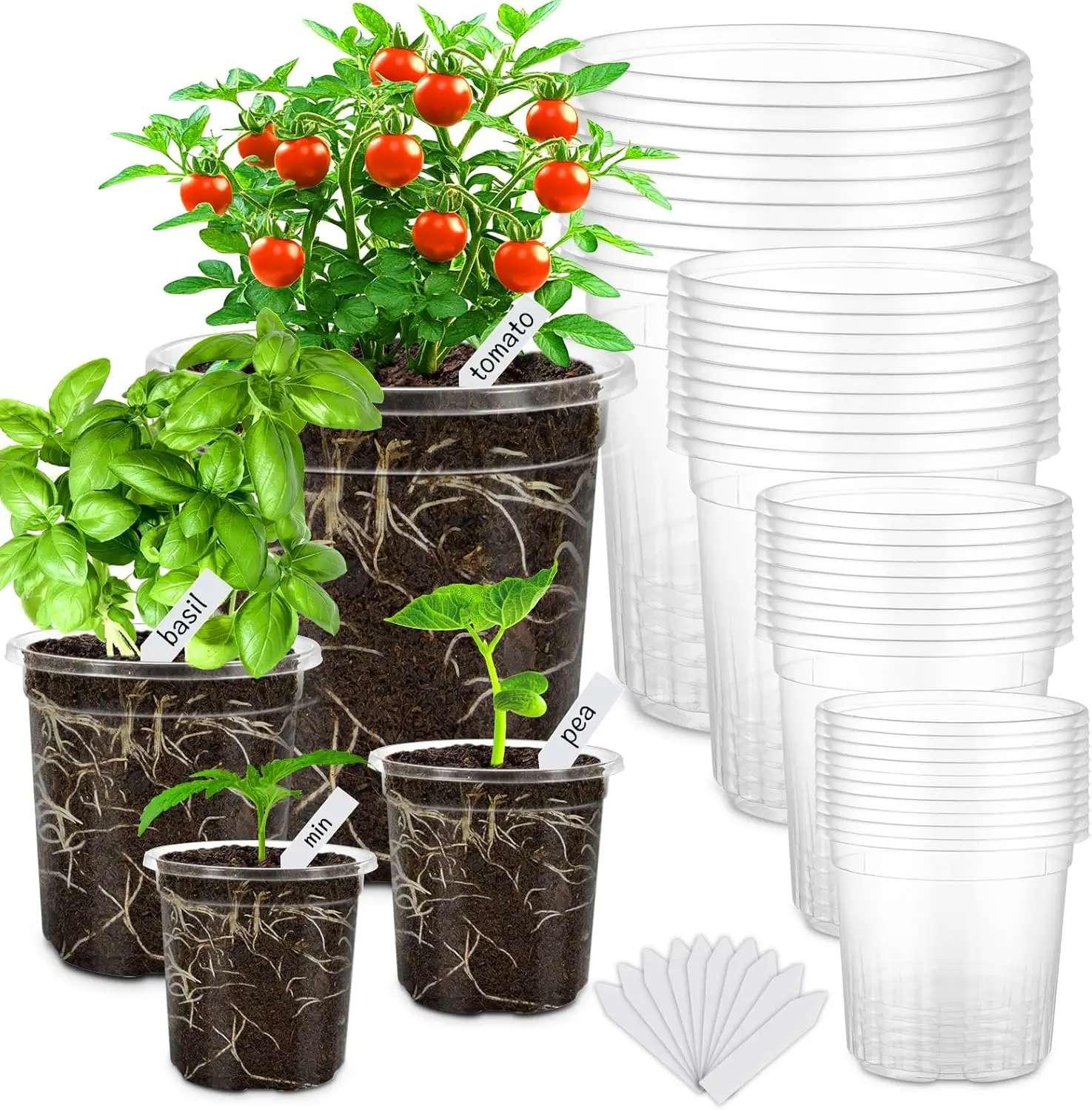 

36 Packs 6.5/5/4/3.5 Inch Reinforced Clear Nursery Pots with Drainage Hole, Variety Pack High Transparency Plastic Seedl