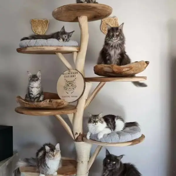 XIANGLONG Customized Wood Scratching Europe Wooden Cat Tree With Factory Price