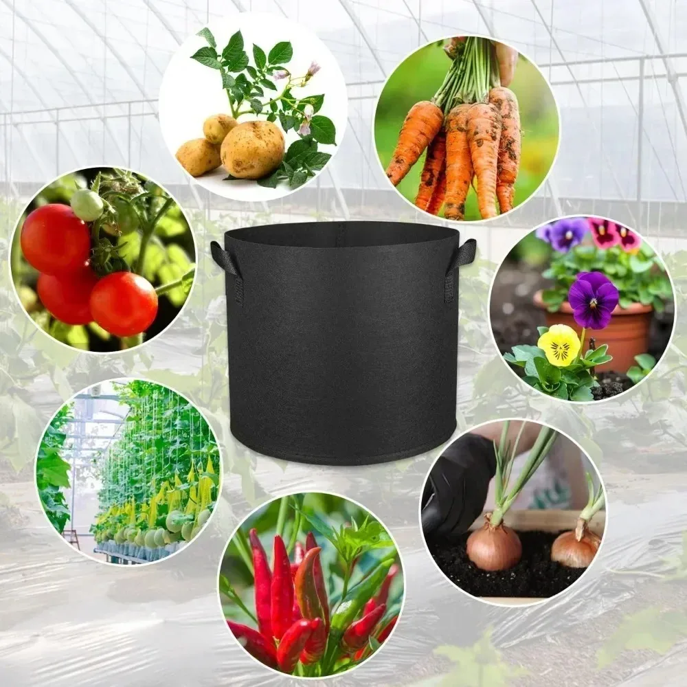 1/2/4/5PCS 3 Gallon 11 Liter Thickened Non-Woven Vegetable Flower Plant Grow Bags Aeration Fabric Pots for Gardening gallery 4