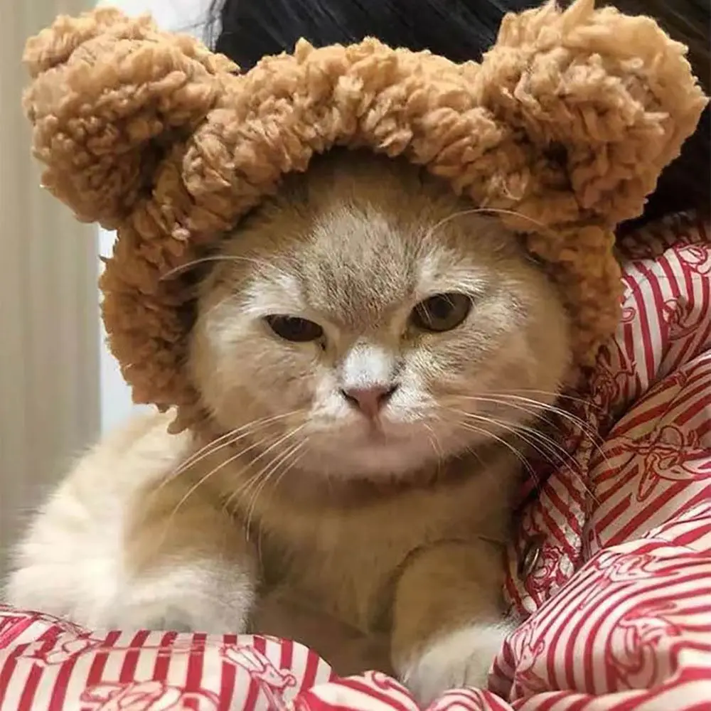 Adjustable Cat Hat Soft Short Plush Bear Pet Headgear Small Puppy Cap Comfortable Cosplay Costume Pet Accessories