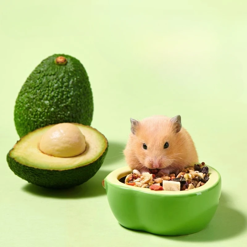 Hamster Ceramic Avocado Eating Bowl Thick and Anti Overturning