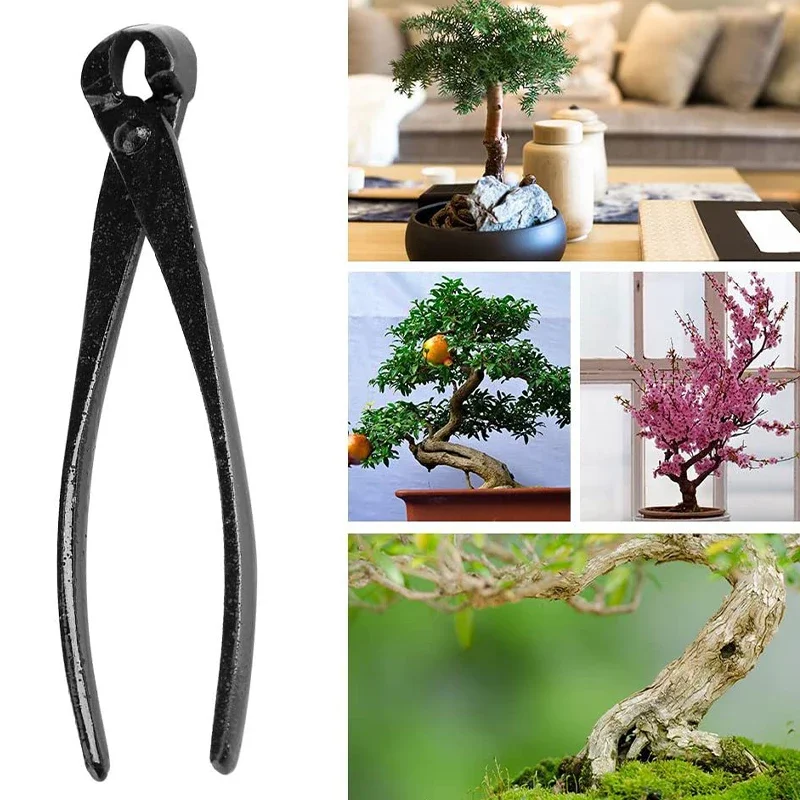 Imagem -04 - Bonsai Botão Cortador Côncavo Edge Cutter Ball Shear Scissors Paisagem Modelagem Ferramentas de Jardim 1pc Profissional