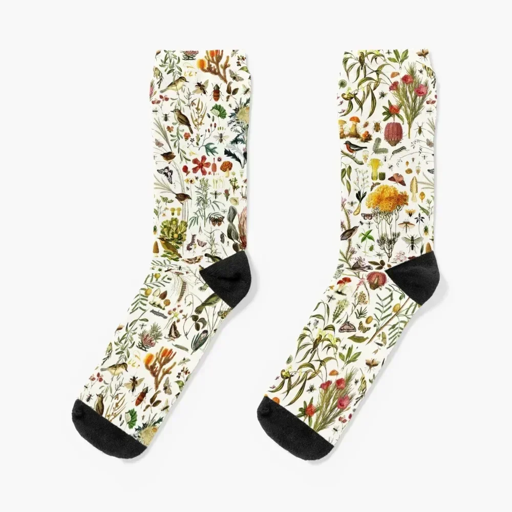 Biology Australia. Socks aesthetic professional running Socks Men Women's