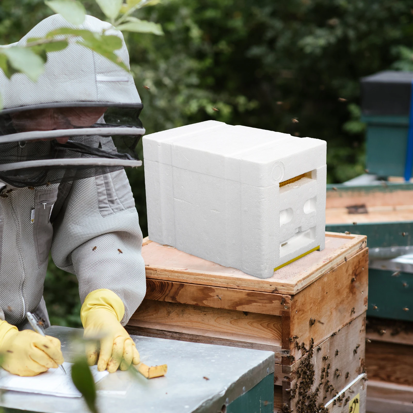 

Beehive Pollination Box 3 Frames Feeder Beekeeping Tool Plastic Foam Professional King Breeding Garden Bees Houses Complete Kit