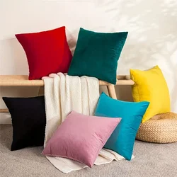 （Pillowcase not included）Nordic Velvet Pillow - Soft and Supportive Backrest Cushion Perfect for Sofa, Office, and Travel