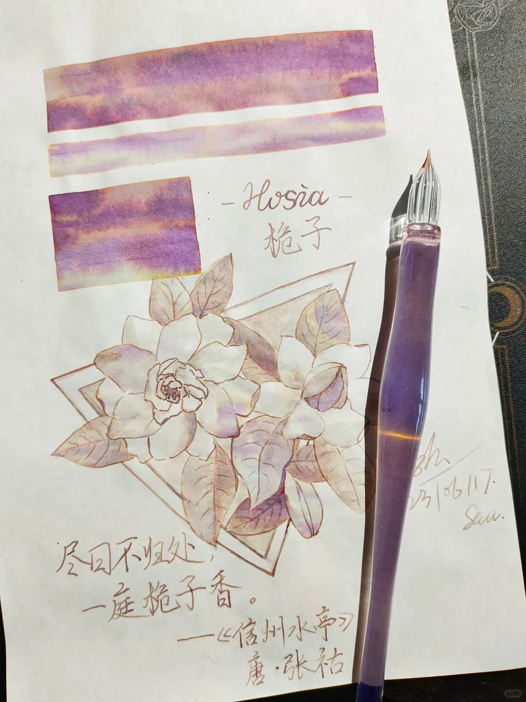 HOSIA Ink, Gardenia,Chromatography Sheen SHADING  Ink 30ML