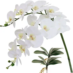 40 Inch Artificial Phalaenopsis Flowers Real Touch (Not Silk) Latex Orchids Flowers for Home Office Wedding Decoration