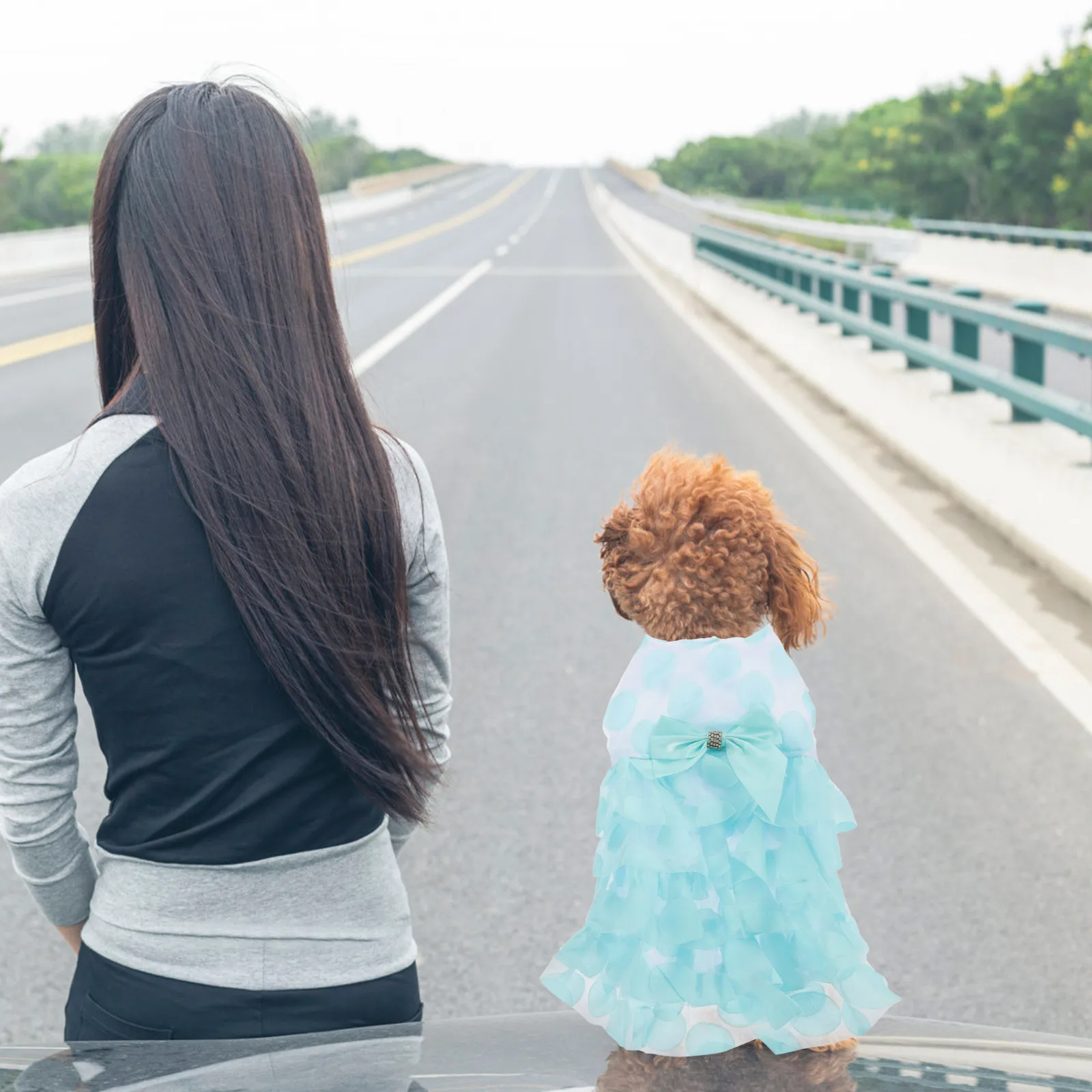 

Dog Dress Dress Acrylic Lace Fashionable Charming Princess Walking Jogging Purple Small Size Dog Clothes