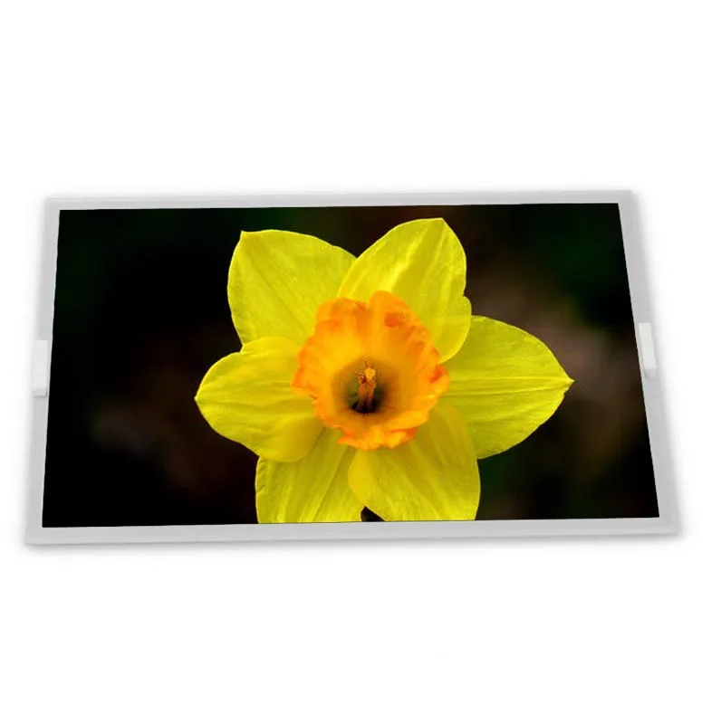 LQ121S1DG43 lq121s1dg43 12.1 800*600 TFT-LCD Screen Panel Zhiyan supply