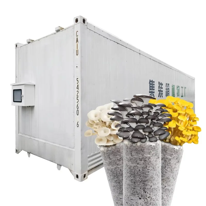 

40 ft /20ft Mushroom Growth Container Container Plant Factory