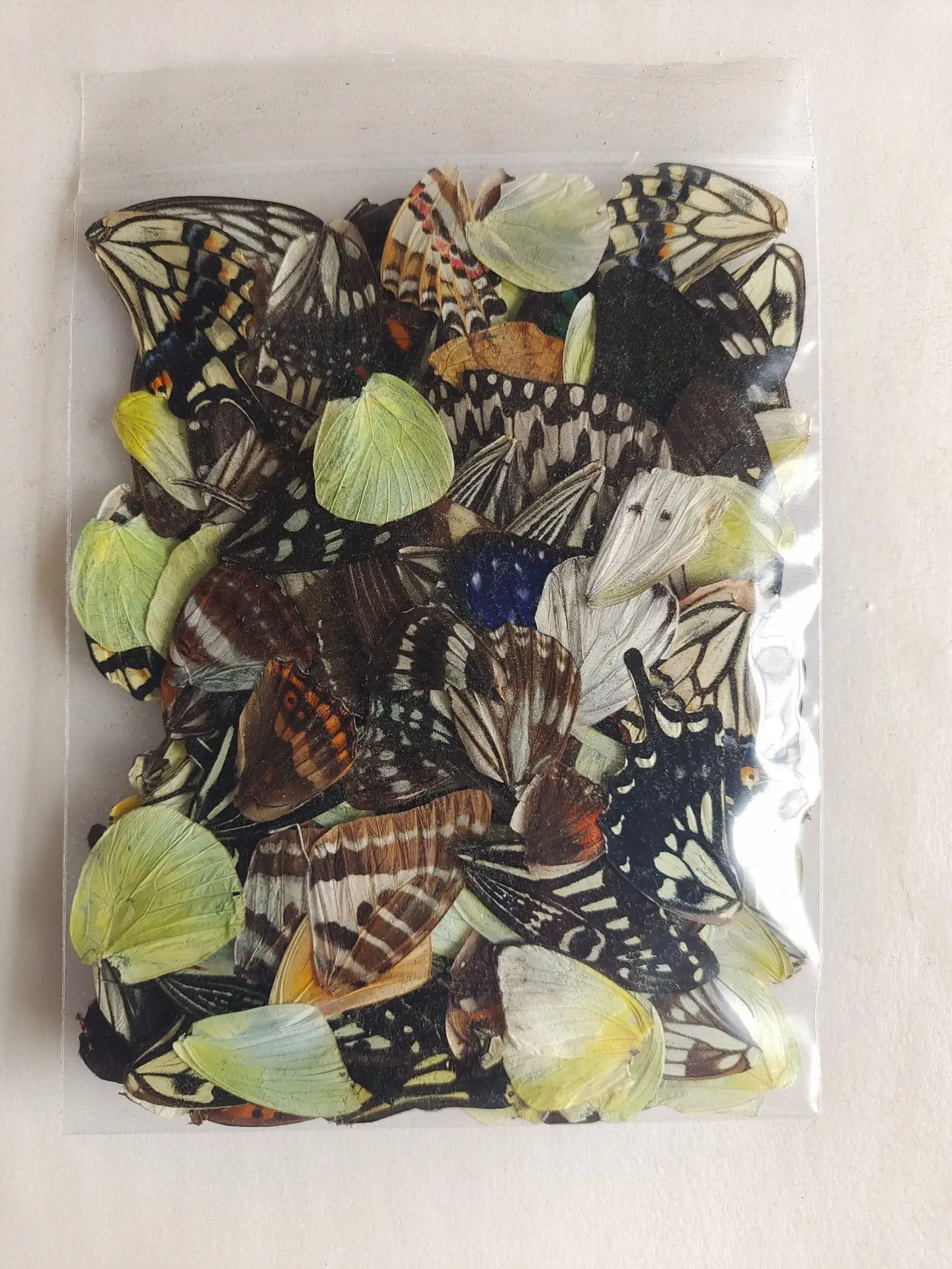 100Pcs Home Decoration Materials, Butterfly Specimen Wings, Beautiful Butterfly Wings, Real Butterfly Wings   fairy garden
