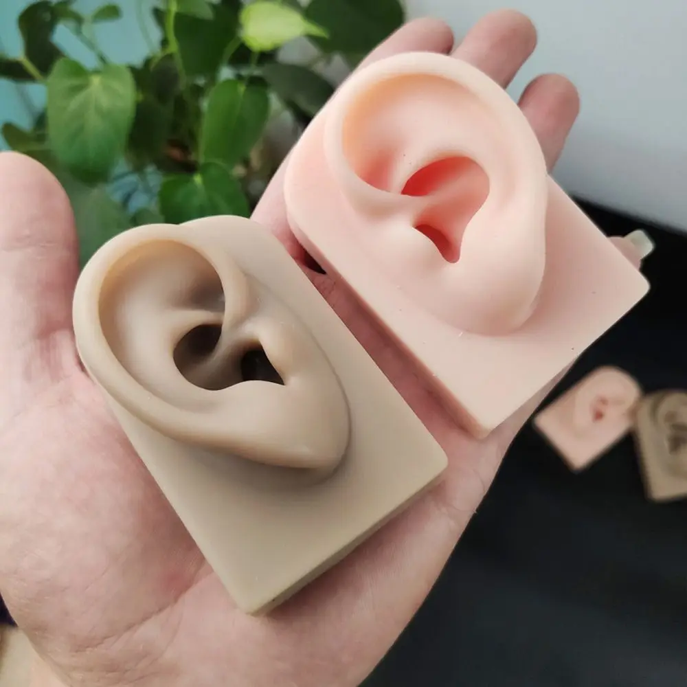 Human Mannequin Teaching Tools Body for Hearing Teaching Fake Ear Silicone Ear Model Jewelry Earrings Display Simulation Ear