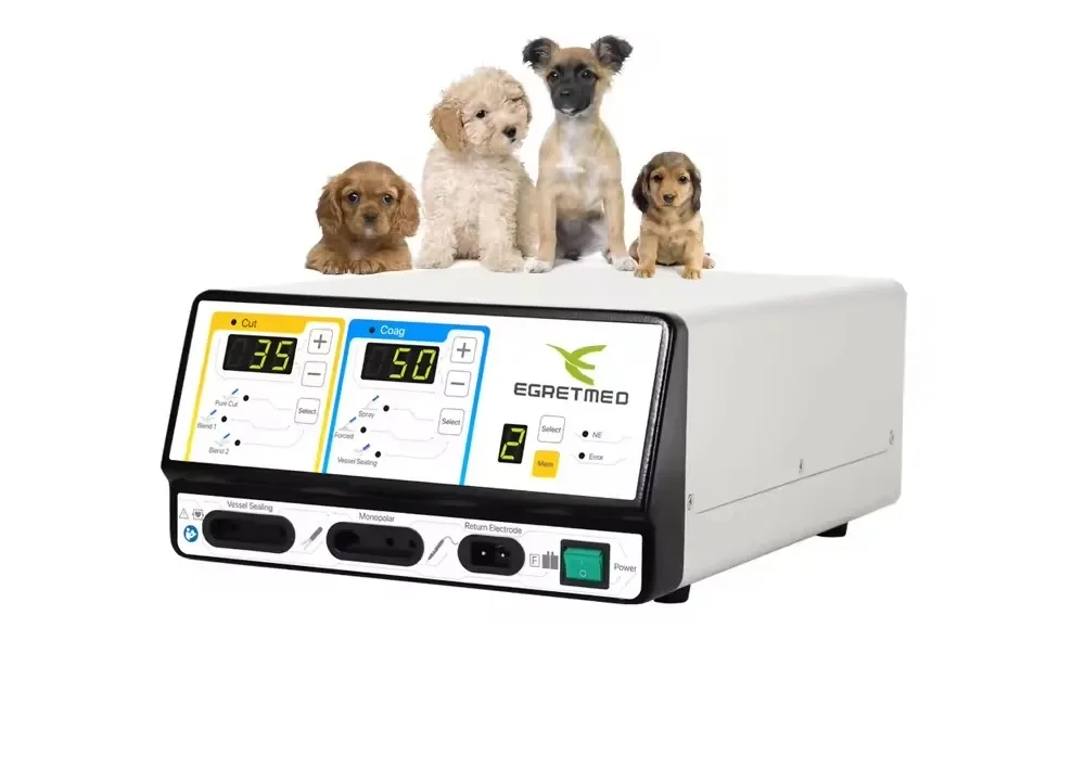 

Amain Portable Bipolar Veterinary Unit Digital Display Machine for Medical Surgical Operations