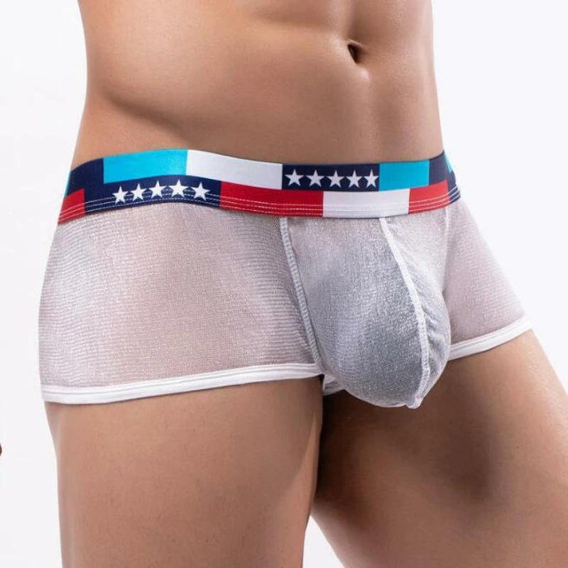 Men 2023 New Mesh Soft Feeling Large Cock Pouch Boxer Underwear Low Waist Lingerie Panties