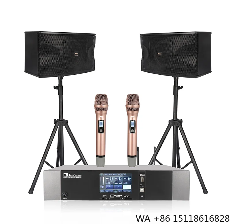 Whole Set Professional Ktv Sound Commercial Karaoke System With 10 Inch Speaker