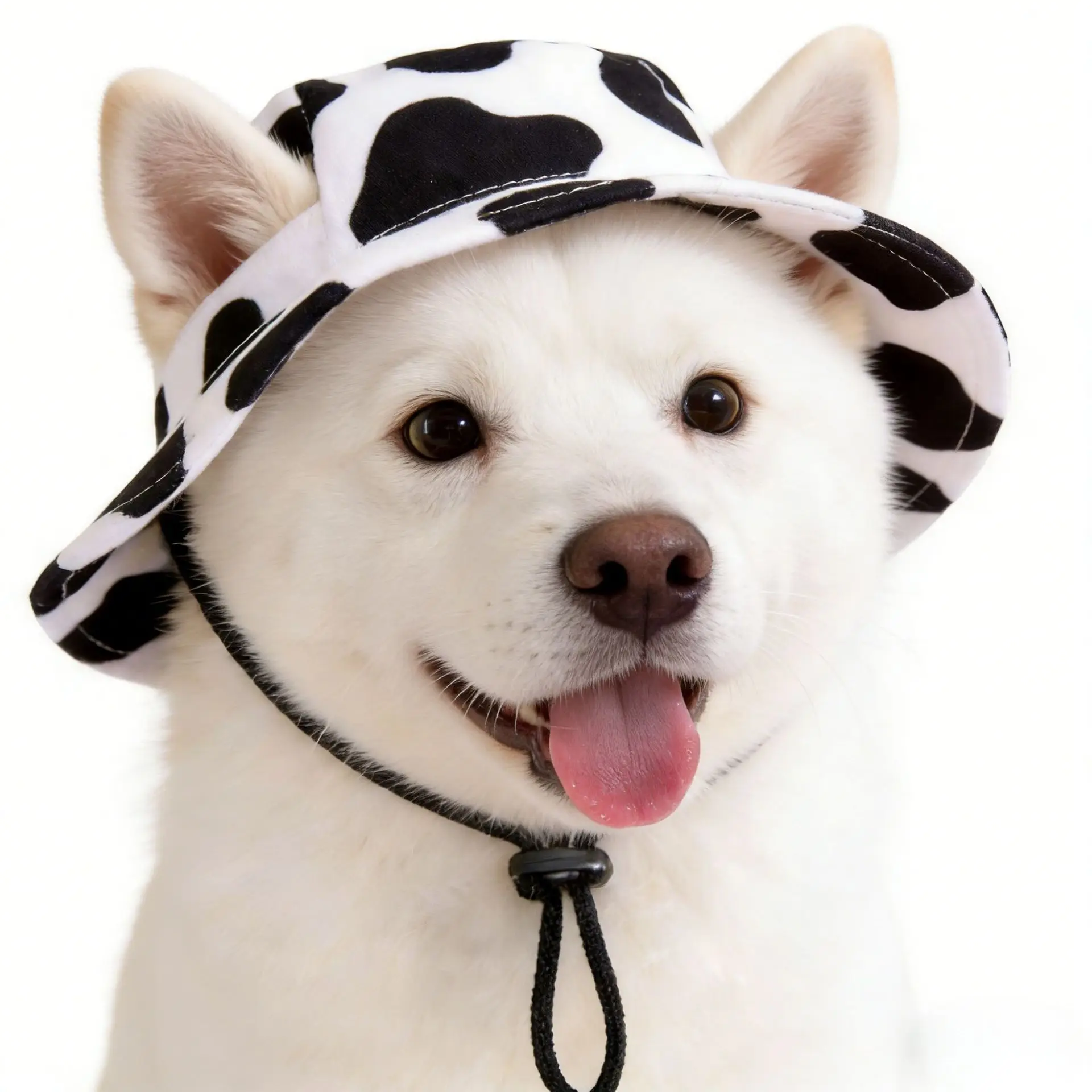 Small Dog Cat Hats Cat Cowboy Hat with Ear Holes Tiny Pet Birthday Party Costume Cat Headwear Puppy Dog Kitten Hat Chihuahua Cap - view 3