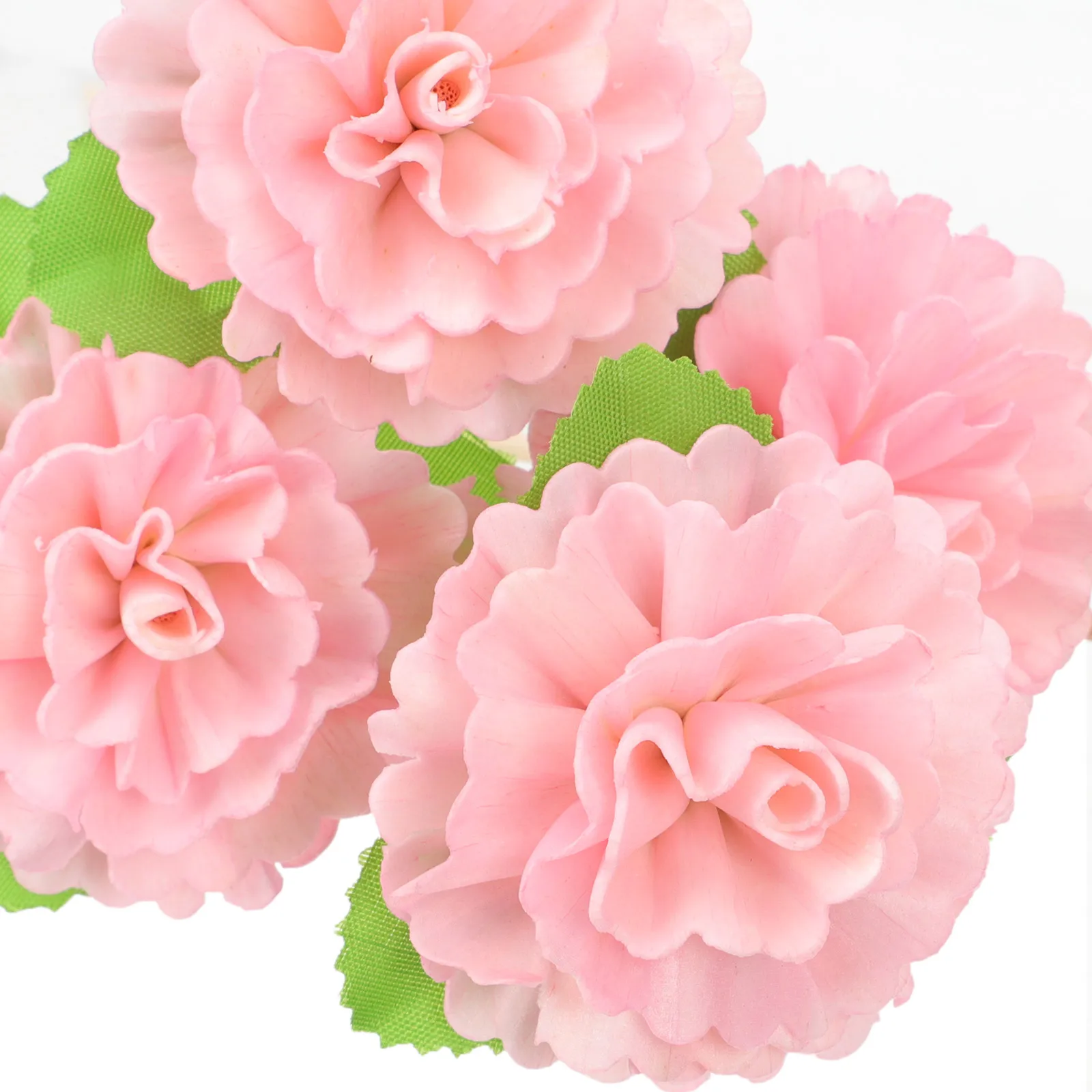 

5 Pcs Aromatherapy Dried Flower Rattan Reeds Diffuser Sticks Flowers Gasket Scent