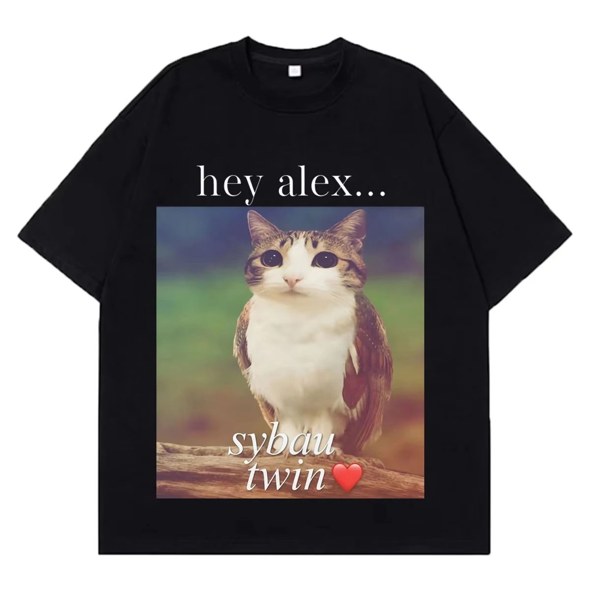 Hey Alex Funny Cat Meme T-shiWomen Aesthetic Trend T-shirts Short-sleeved Loose Streetwear High-quality T-shirts