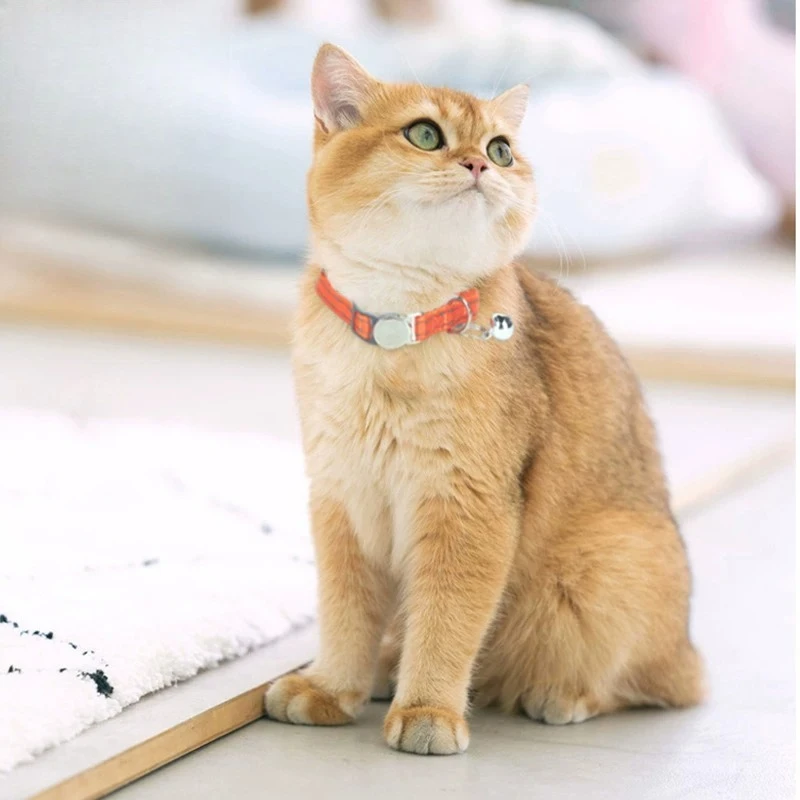 Universal Pet Collar for Cats & Dogs, Adjustable Size with Cute Pattern, Sturdy Durable Collar for Small Kittens and Puppies