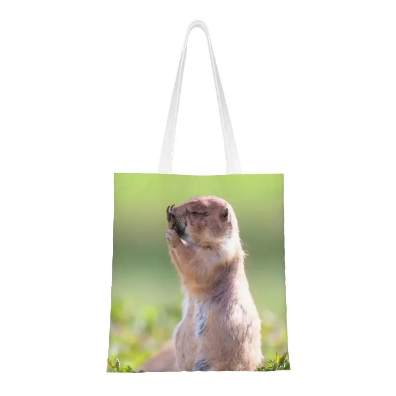 

Funny Watercolor Prarie Dog Shopping Tote Bags Reusable Stinky Fingers Canvas Grocery Shopper Shoulder Bag