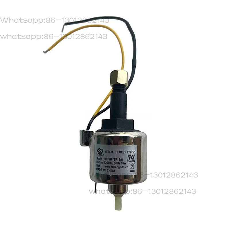 30Dsb-Zjf 18w 110v 220v Mini Water Oil Pump Diy Powerful Liquid Pump For Fog Smoke Sprayer Machine