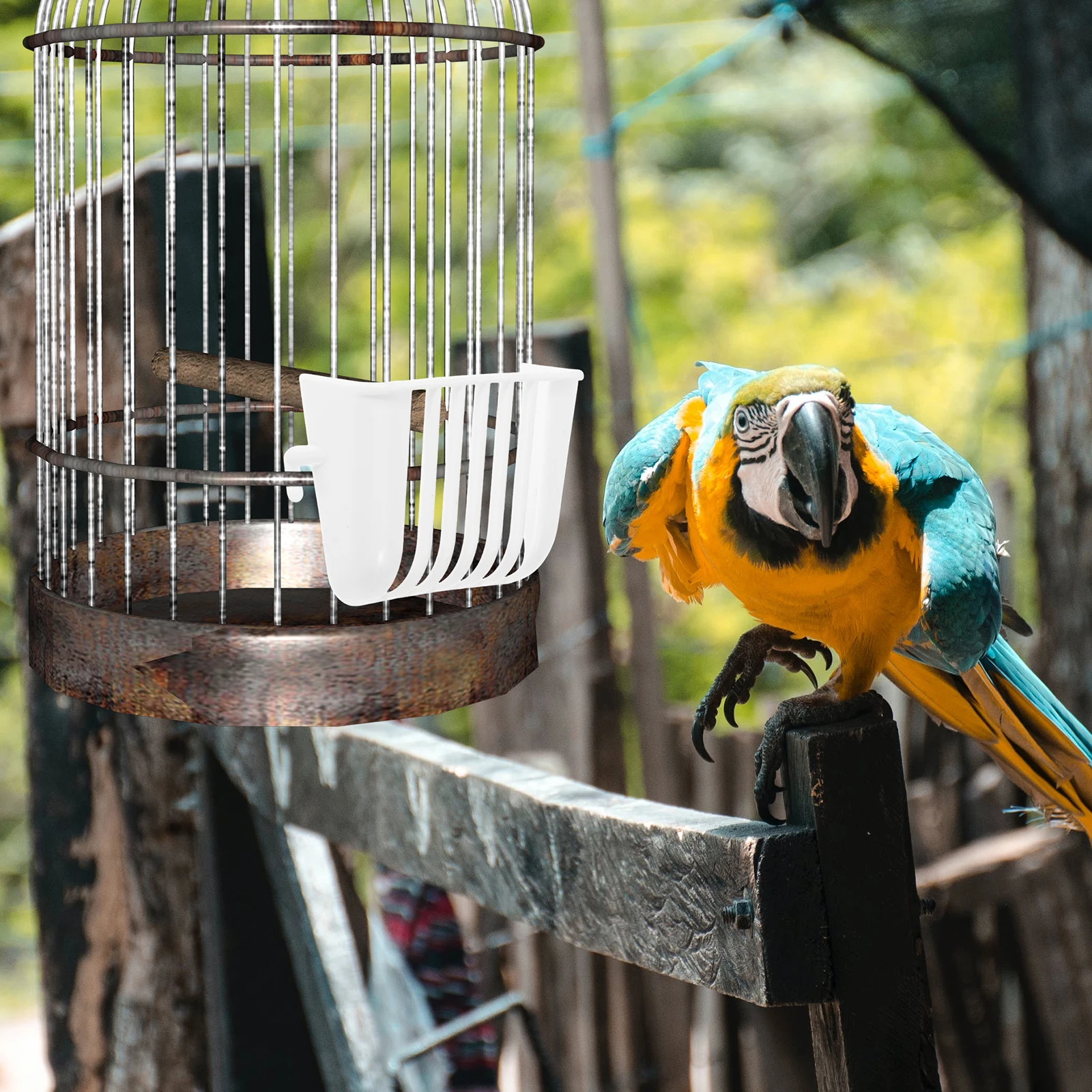

4pcs Vegetable Feeder Cup Feeders for Parrot Bird Cage Accessories Multivegetable Holder Easy Installation Outdoor