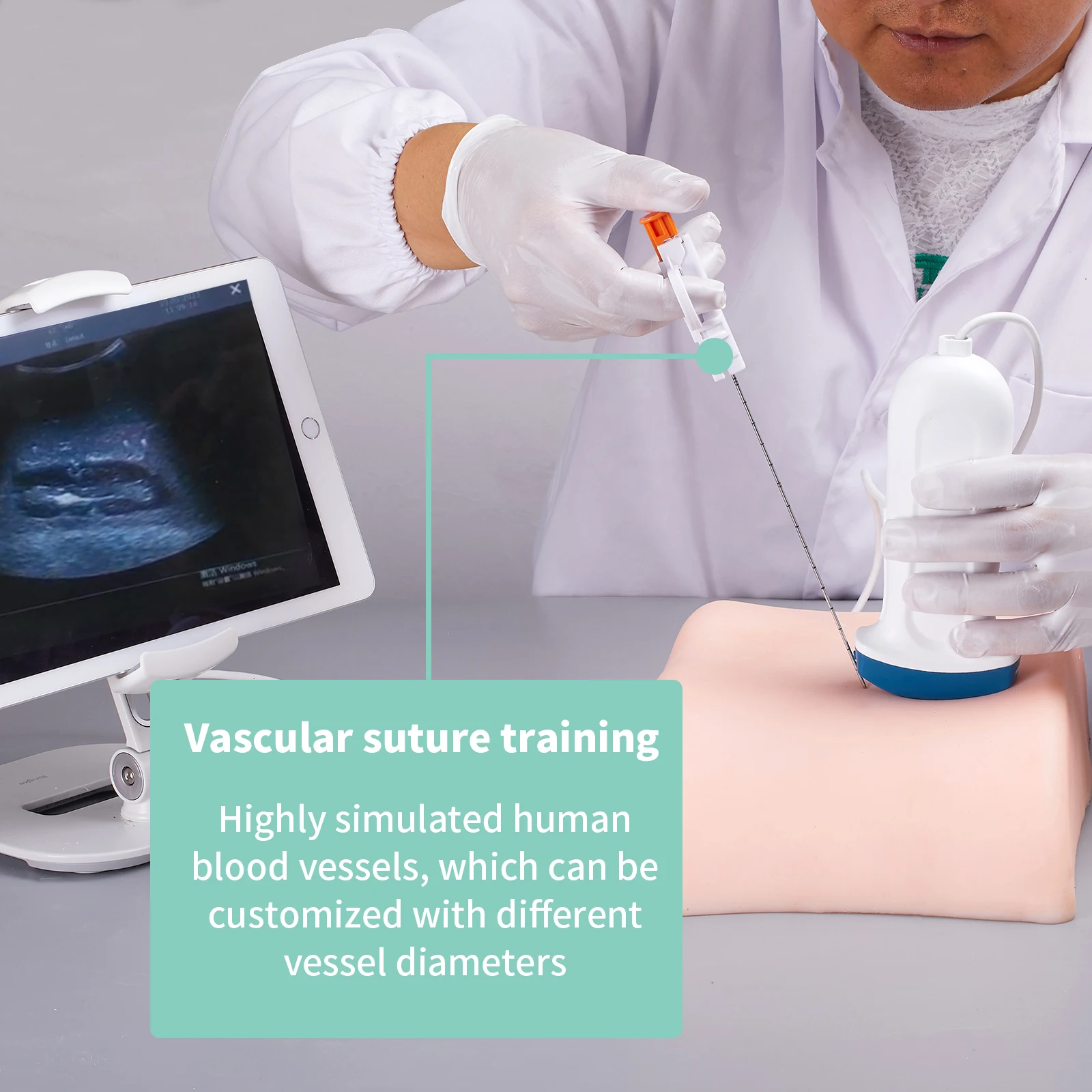 

Ultrasound guided Kidney Biopsy Phantom, Cyst Percutaneous PunctureTraining, Multiple Renal Lesion Tissue education