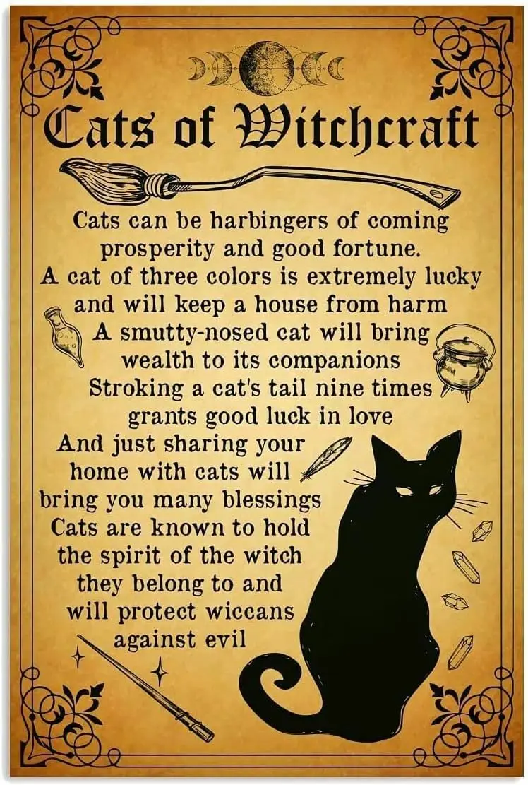 Metal tin Sign Witch Cats of Witchcraft Metal Tin Sign Wall Decor Tin Signs Fun Novelty Sign Farmhouse Decor Gifts for Women Men