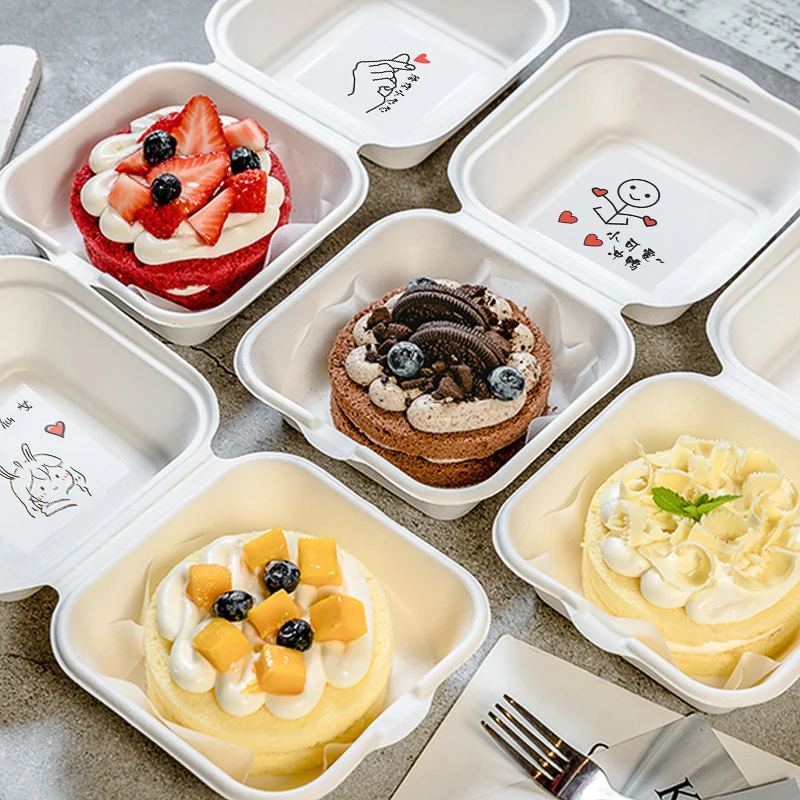 10pcs Biodegradable Bento Box Cake Case Disposable Hamburger Package Boxes Hand-painted Take-out Storage Food Mini Container