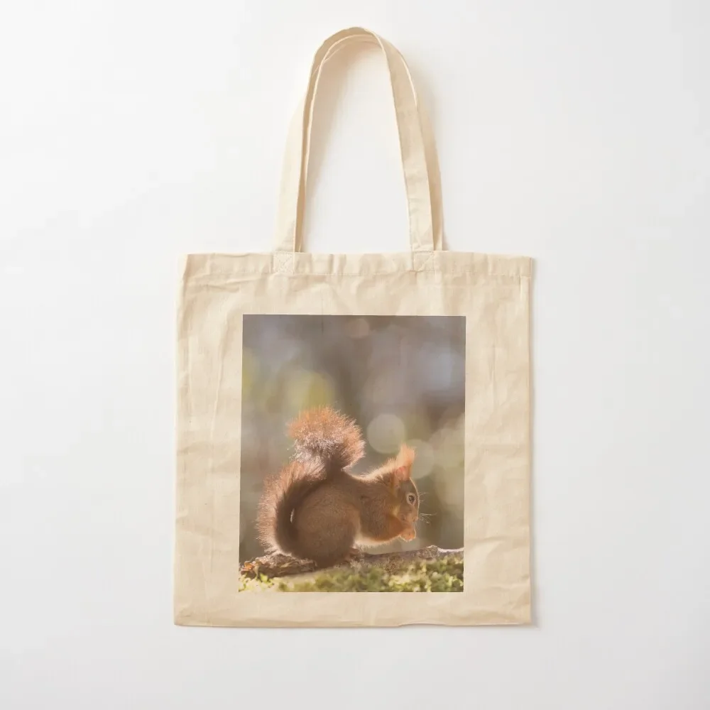 

Red squirrel in the light Tote Bag tote men Women bags canvas Large bags for women