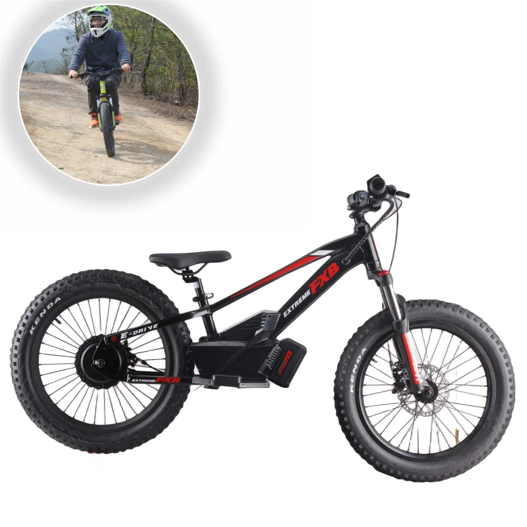 

2024 Children's Electric Bike 800W 36V Child's Electric Balance Bicycle 20" Kid Ebike
