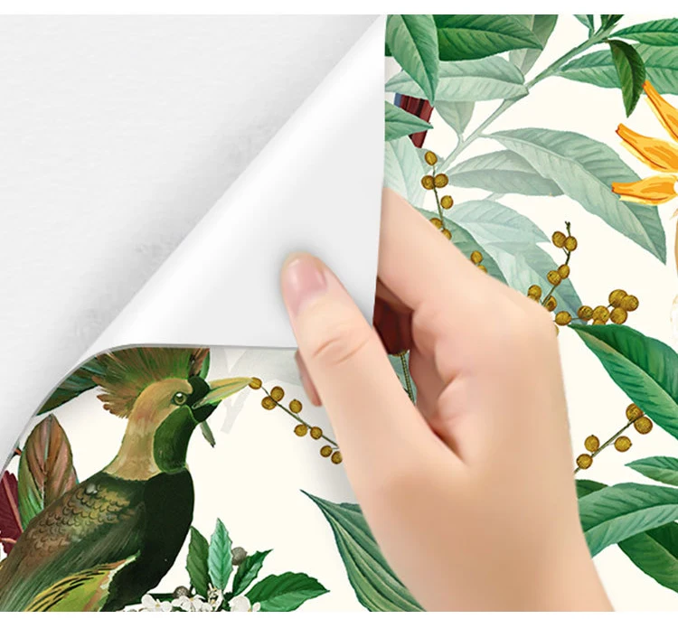 Peel and Stick Wallpaper Rain Forest Palm Leaves Parrot Wallpaper per Accent Wall decorazioni per la camera da letto uccelli carta a contatto floreale