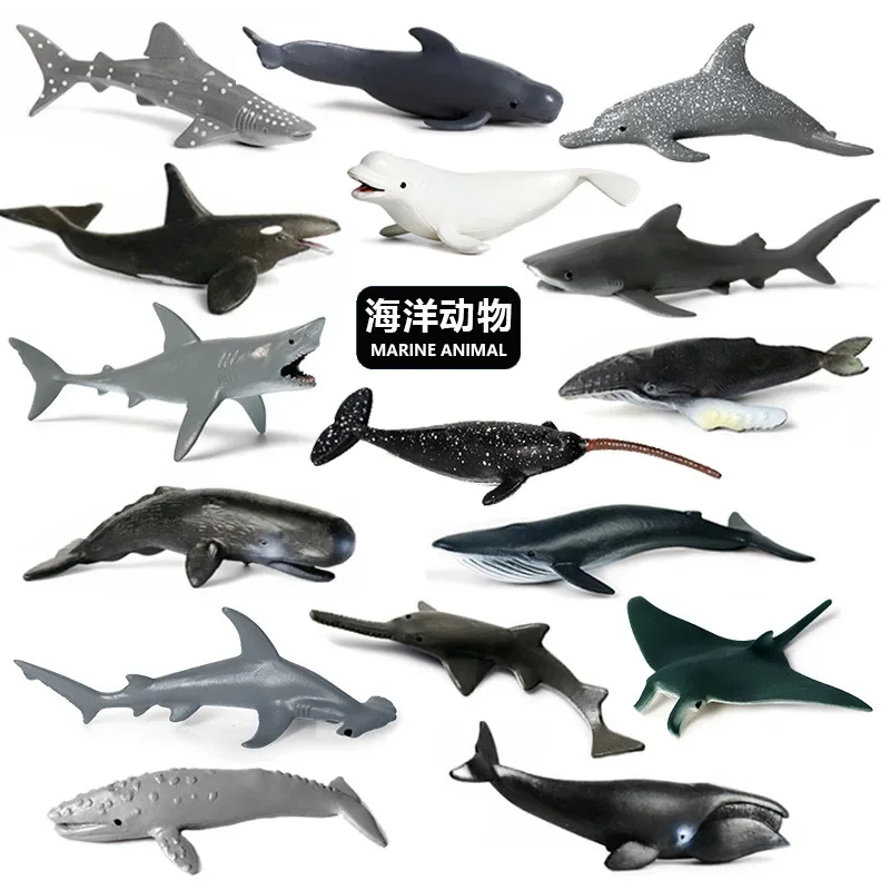 Oceans World Blue Whale Humpback Whale Killer Whale Dolphin Miniature Animal Model Figurine Aquarium Decoration Accessories Toys