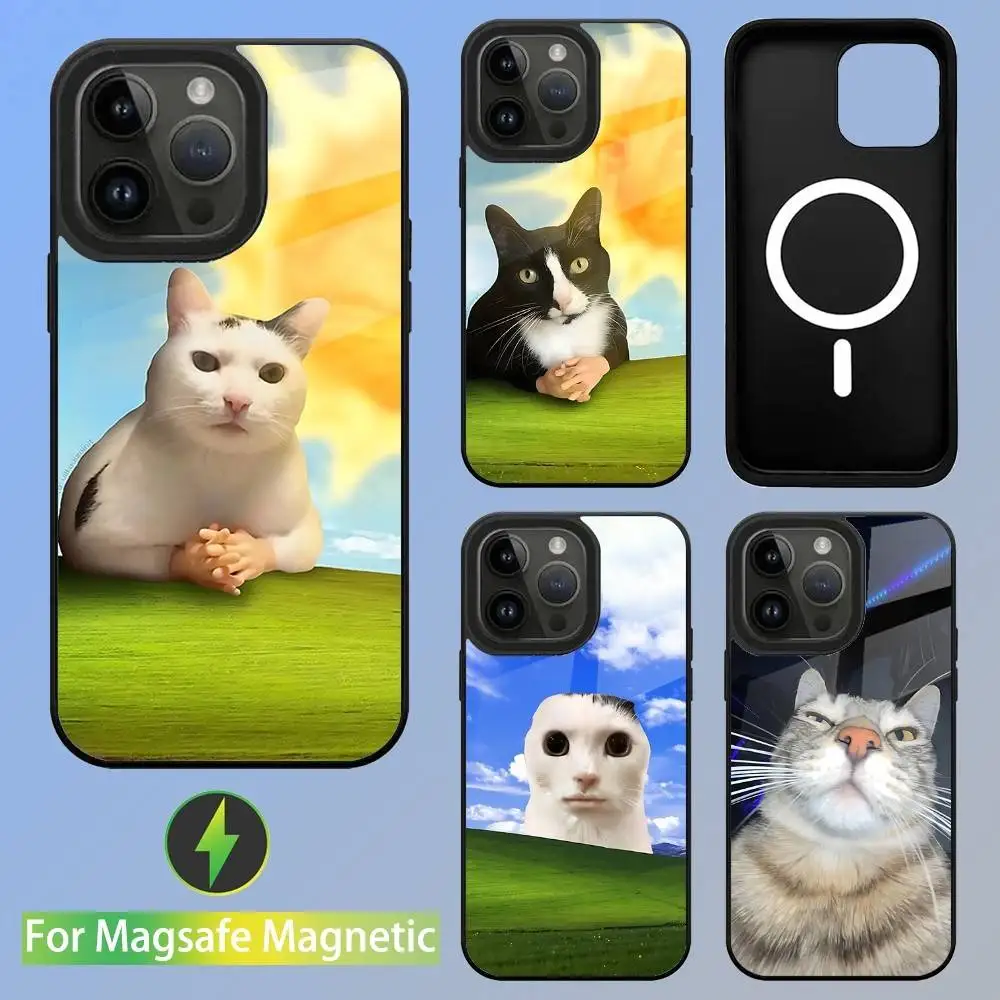 

Couple Cat Funny Cute Phone Case For iPhone 16,15,14,13,12,11,Pro,Max,Plus,Mini,SE New Magsafe Magnetic Wireless Charging