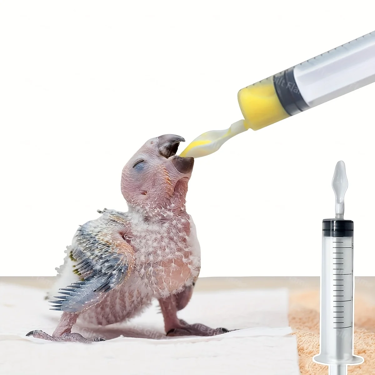 4Pcs/Set Bird Feeders Baby Parrot Feeding Tube Manual Feeder, Can Be Used for Small Animals Such as Birds and Kittens Multipurpose