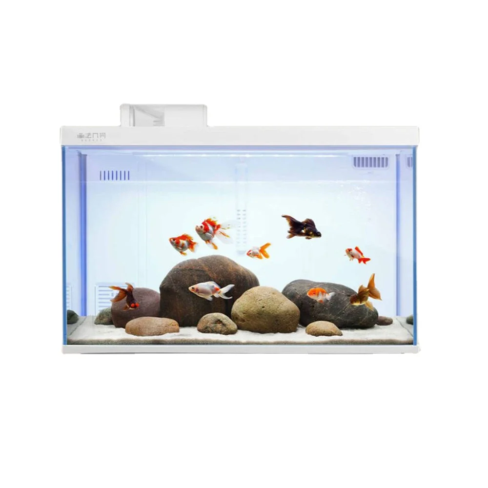 

Smart aquarium wifi feeding ecological fish tank fish tank aquarium aquariums & accessories pet products