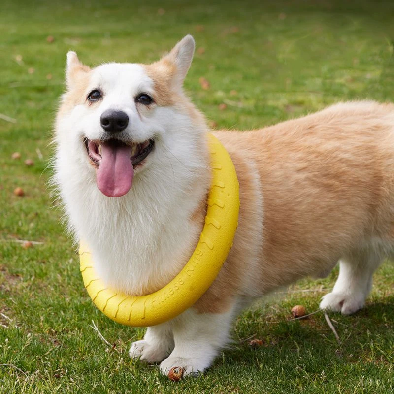 Thumbnail 2 - #17 Top 50 Dog Fetch Toys Worth Buying In 2026