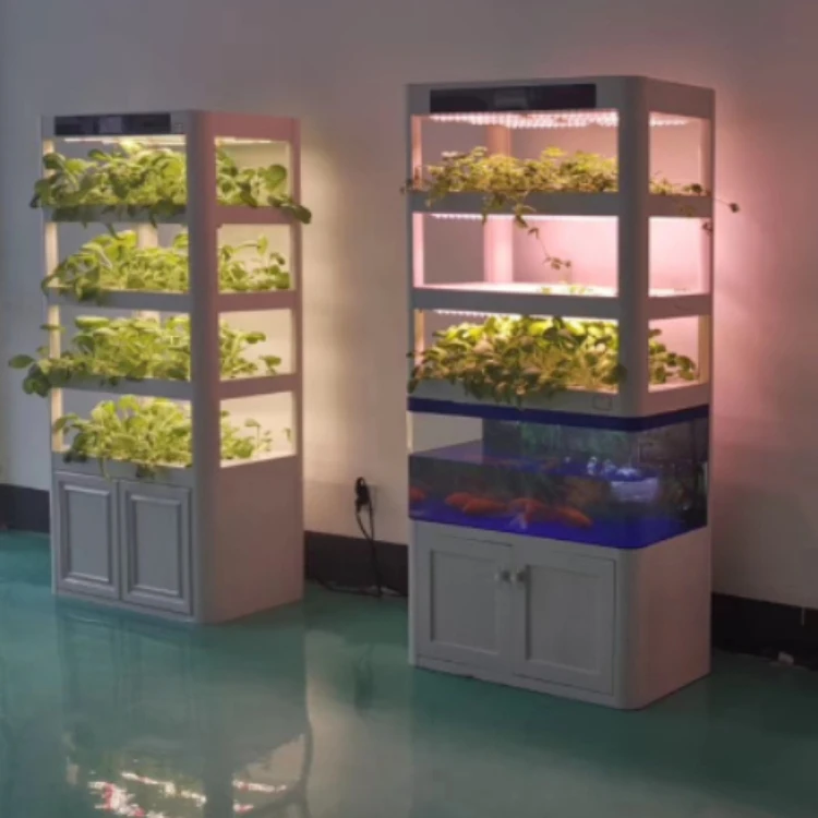 Hydroponics System for Fruits Vegetables Growing System Aquaponic Automated Led Grow Lights with Fish Tank Greenhouse
