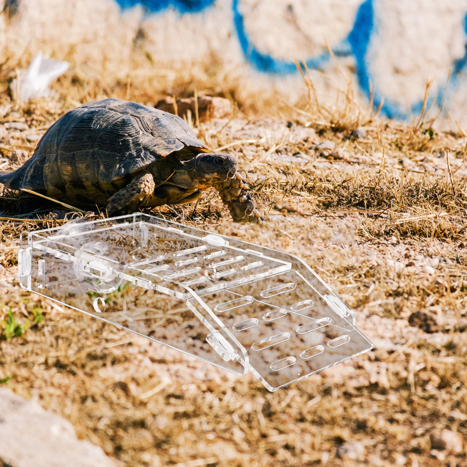 

Turtle Basking Platform Plastic Terrace Suction Cup Aquarium Turtle Resting Climbing Floating Platform for Aquarium Habitat