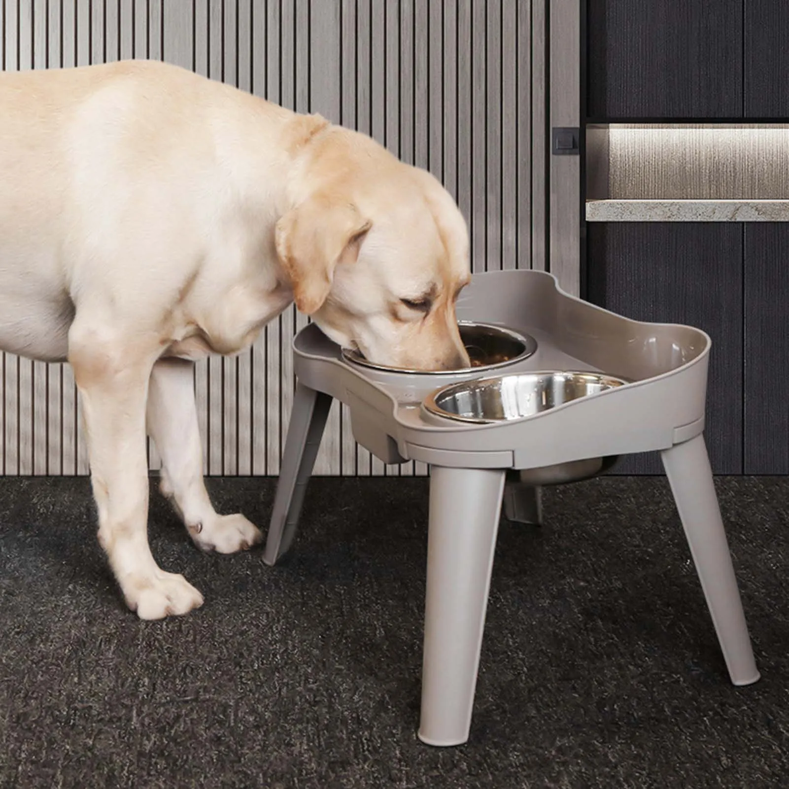 Stainless Steel Elevated Dog Bowl Easy to Use and Store Feeder Eating Bowls Suitable for Promote Healthy Digestion