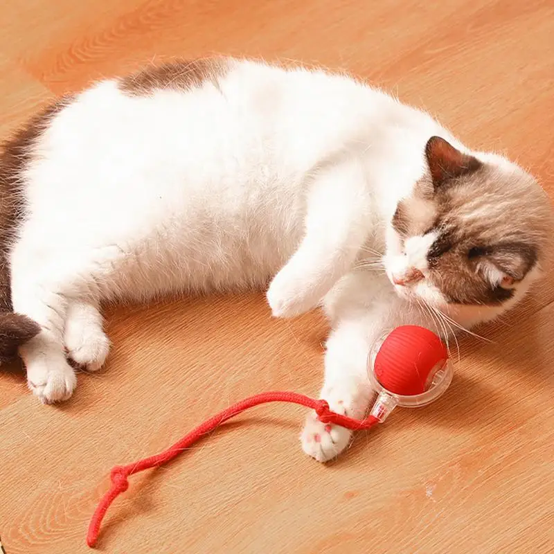 Interactive Cat Rolling Ball Super Drive Cat Rolling Balls With Bird Chirping Motion Activated Sensor Pet Kitten Teaser Game Toy