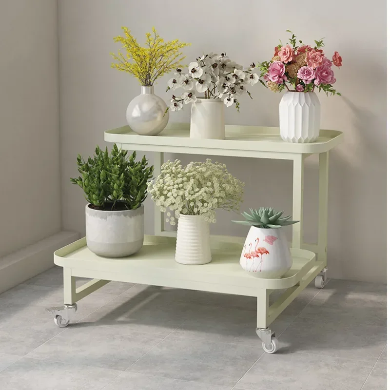 Chic Simple Modern Iron Step-Type Double Layer Plant Stand Stylish Indoor Flower Frame for Living Room and Balcony Décor