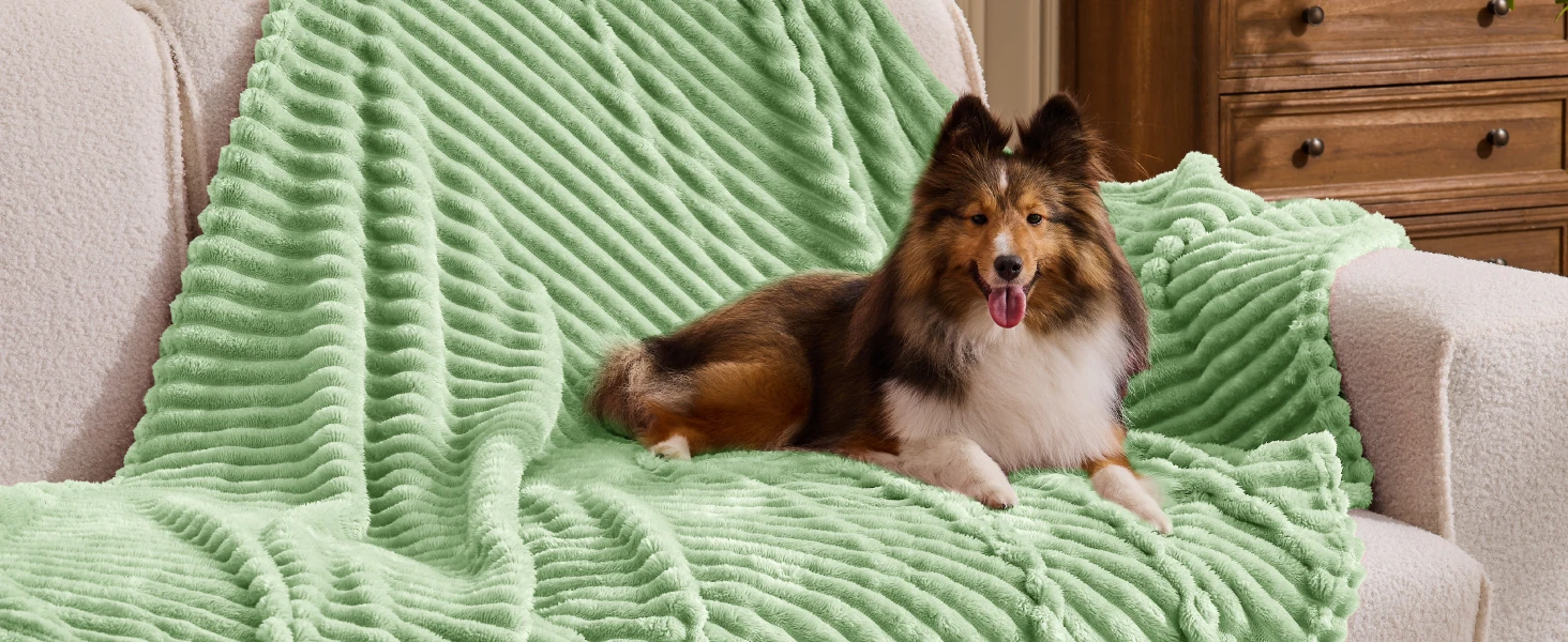 green throw blanket