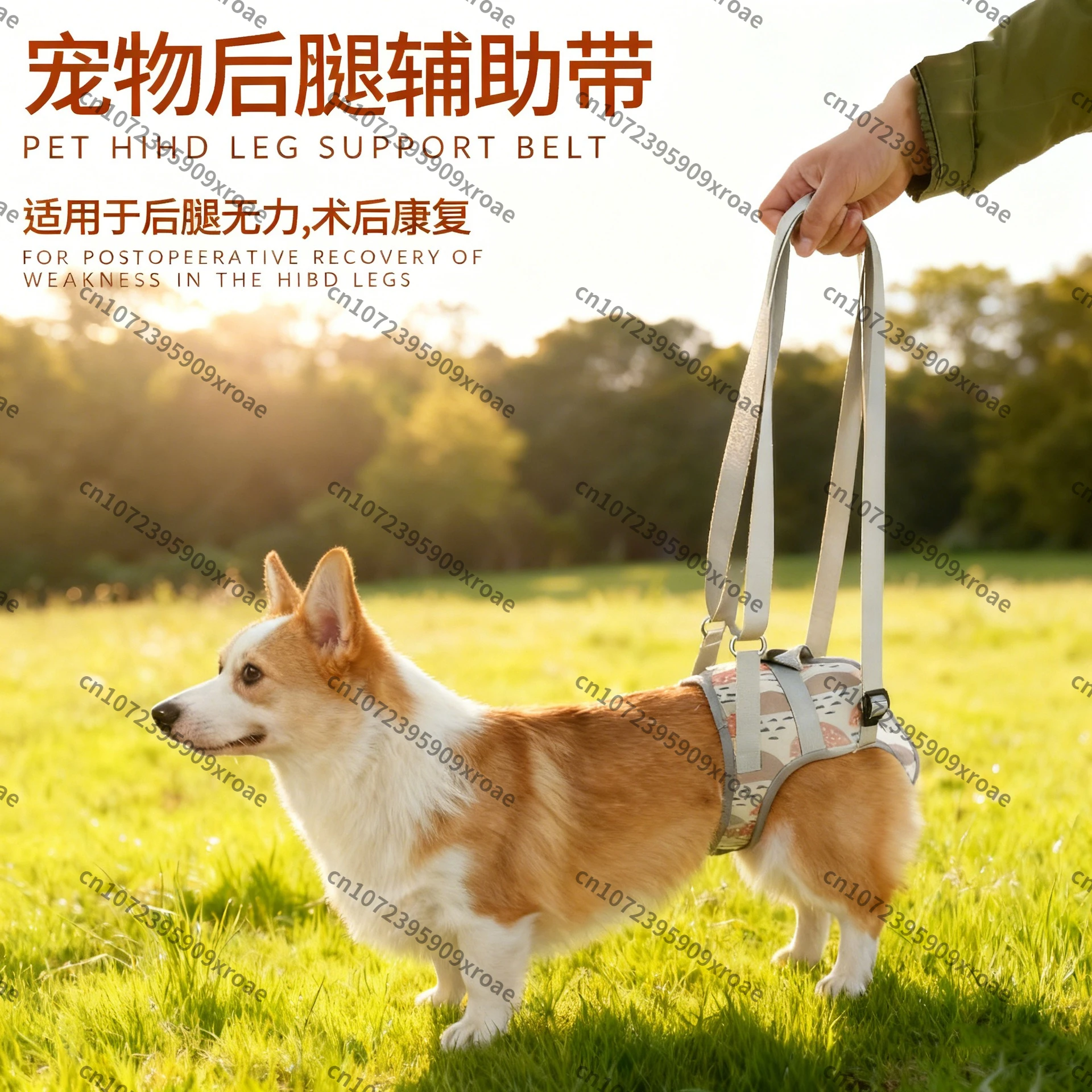 pet-dog-hind-leg-assist-belt-traction-to-help-walk-upstairs-artifact-elderly-dog-injured-hind-limb-disabled-large-dog