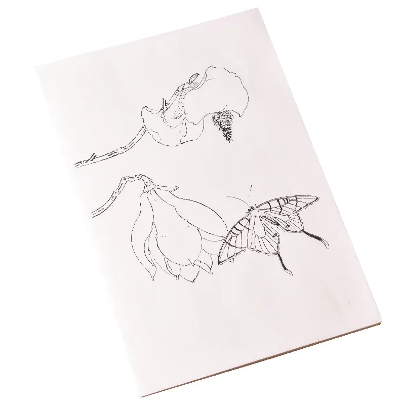 Line Drawing Butterfly Tracing Paper Xuan Paper Butterfly Painting Drawing Copybooks Watercolor Chinese Painting Manuscript